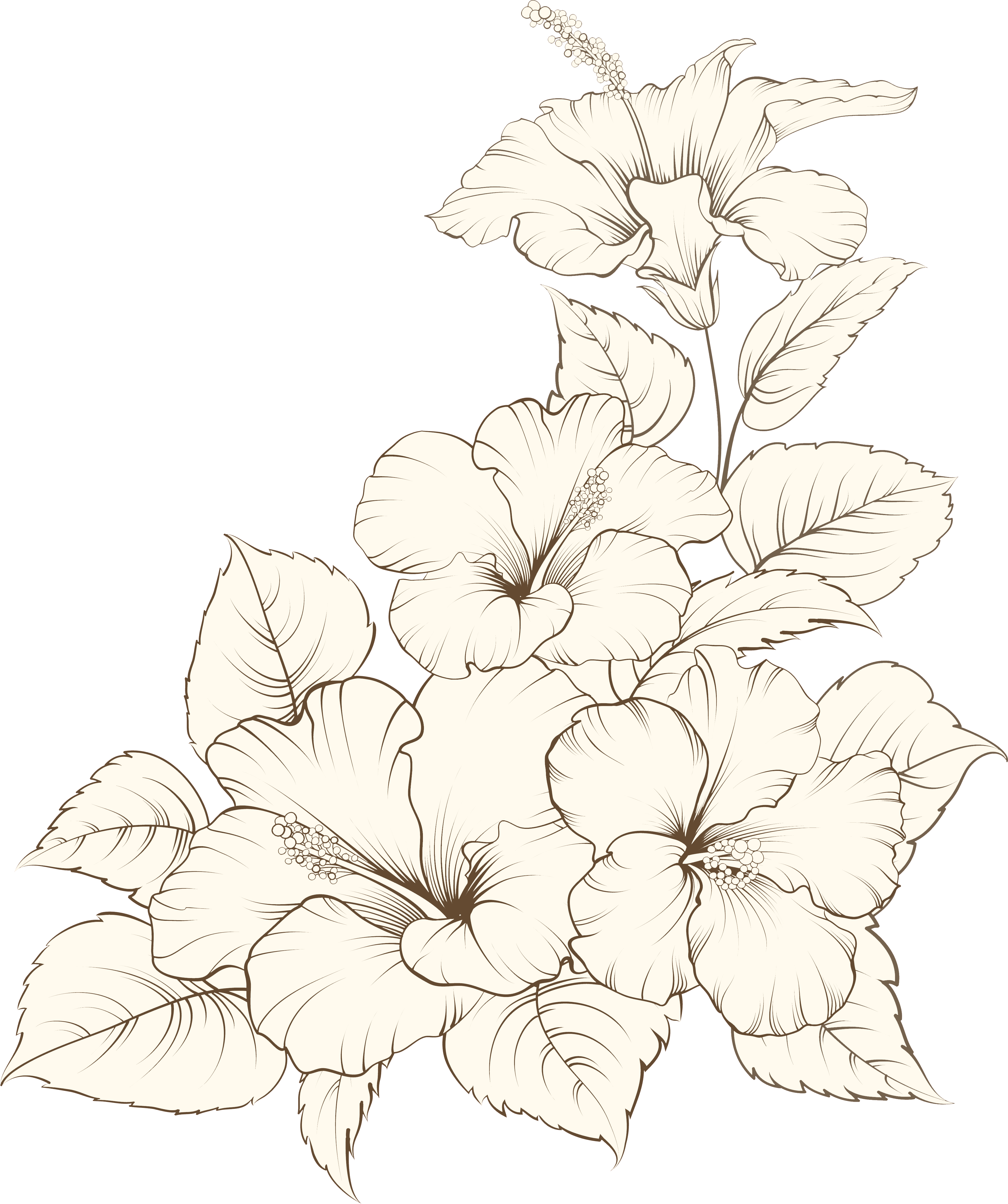 Ilustración floral de boda